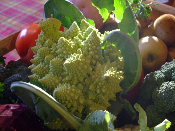 Romanesco